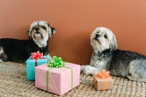 pet gifts