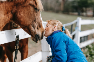 horse lovers