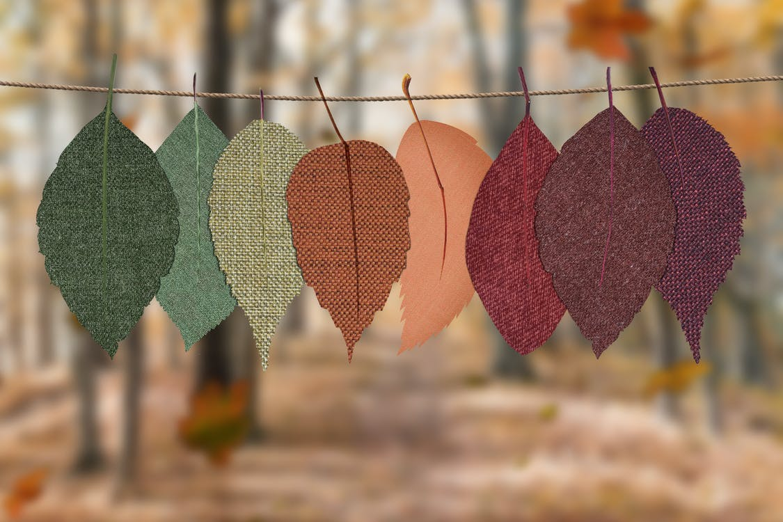 You are currently viewing 50+ Quotes About Fall to Capture the Beauty of Autumn
