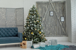 Read more about the article 16 Types of Popular Christmas Trees (Including Real and Artificial for Your Home)