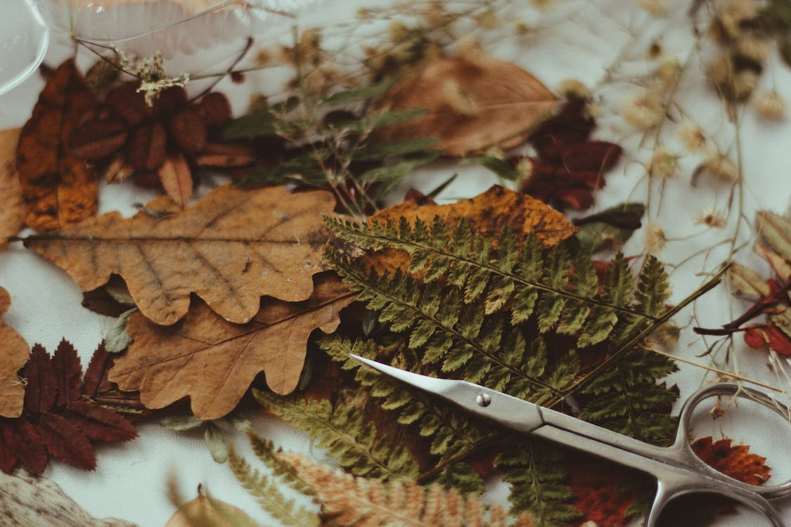 You are currently viewing 4 Amazing Thanksgiving Decoration Ideas