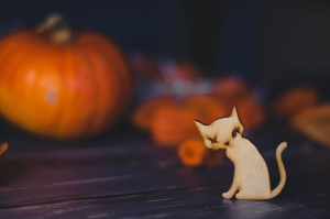Read more about the article 50+ Halloween-Inspired Cat Names to Unleash the Meow-tastic Magic