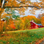 +30 Quotes to Appreciate The Beauty of Autumn