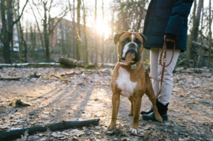 Read more about the article What Do You Give to Someone Who Lost a Dog?