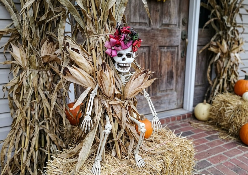Halloween skeleton ideas that a skeleton in the Cornstalk