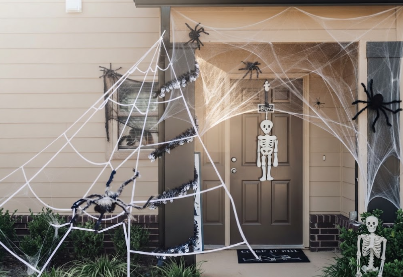 Oversized web with one giant spider
